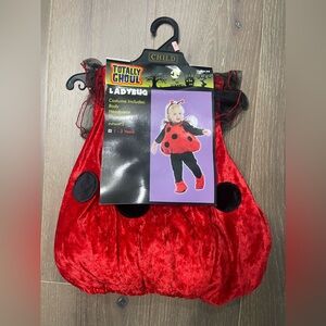 Totally Ghoul Ladybug infant costume. NWT 2t